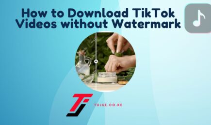 How to Download TikTok Videos without Watermark?