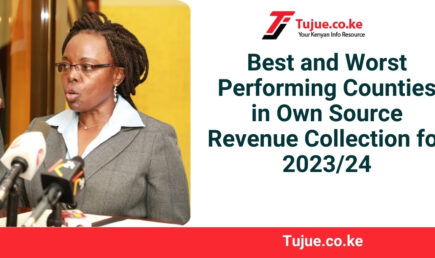 Best and Worst Performing Counties in Own Source Revenue Collection for 2023/24