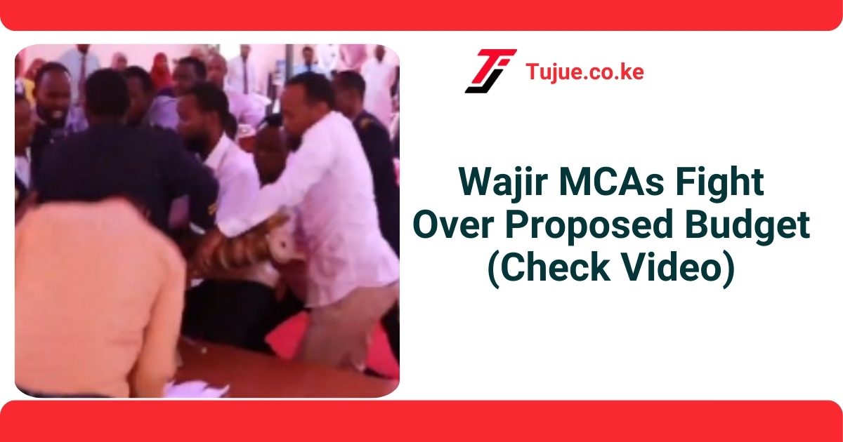 Wajir MCAs Fight Over Proposed Budget