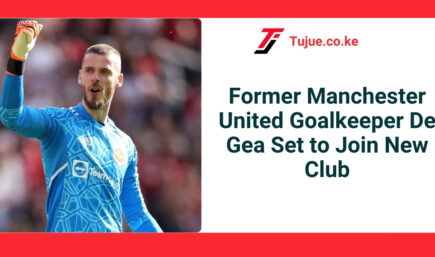 Former Manchester United Goalkeeper De Gea Set to Join New Club