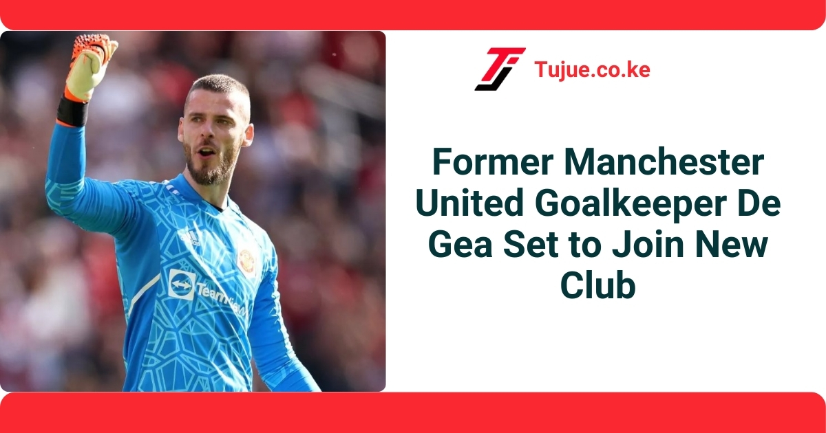 Former Manchester United Goalkeeper De Gea Set to Join New Club