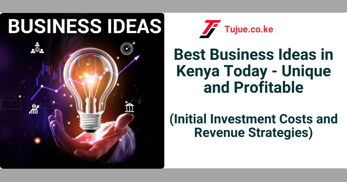 Best Business Ideas in Kenya Today - Unique and Profitable