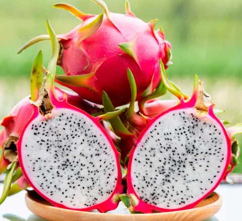 Hylocereus undatus (White-Fleshed Dragon Fruit) 