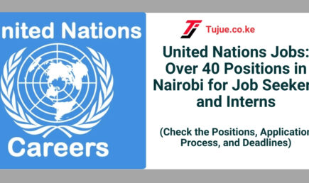 United Nations Jobs: Over 40 Positions in Nairobi for Job Seekers and Interns