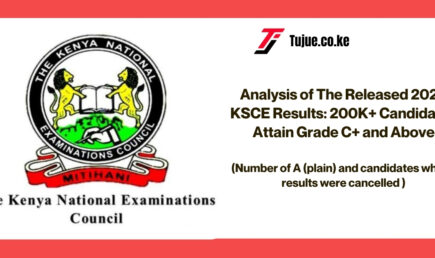 Analysis of The Released 2024 KSCE Results: 200K+ Candidates Attain Grade C+ and Above