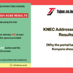 KNEC Addresses the Delays in Results Portal