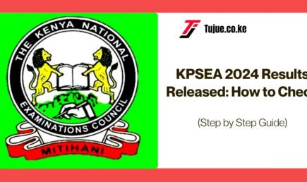 How to Check KPSEA 2024 Results