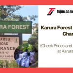 Karura Forest Activities and Charges