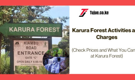 Karura Forest Activities and Charges