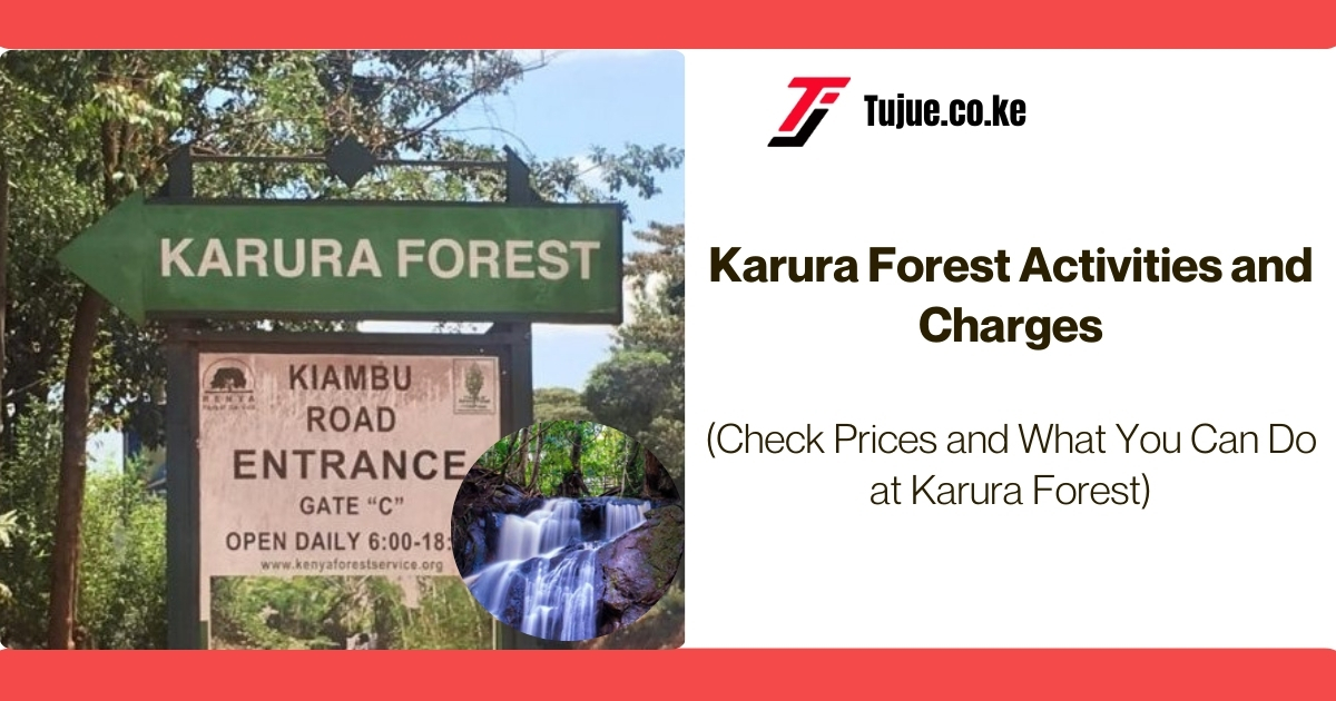 Karura Forest Activities and Charges