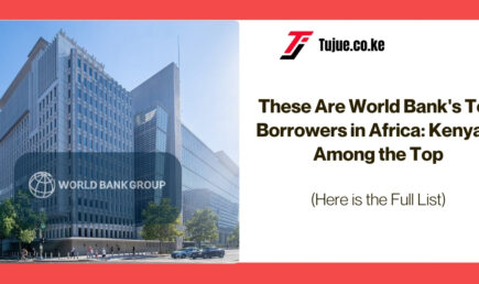 These Are World Bank’s Top Borrowers in Africa: Kenya is Among the Top