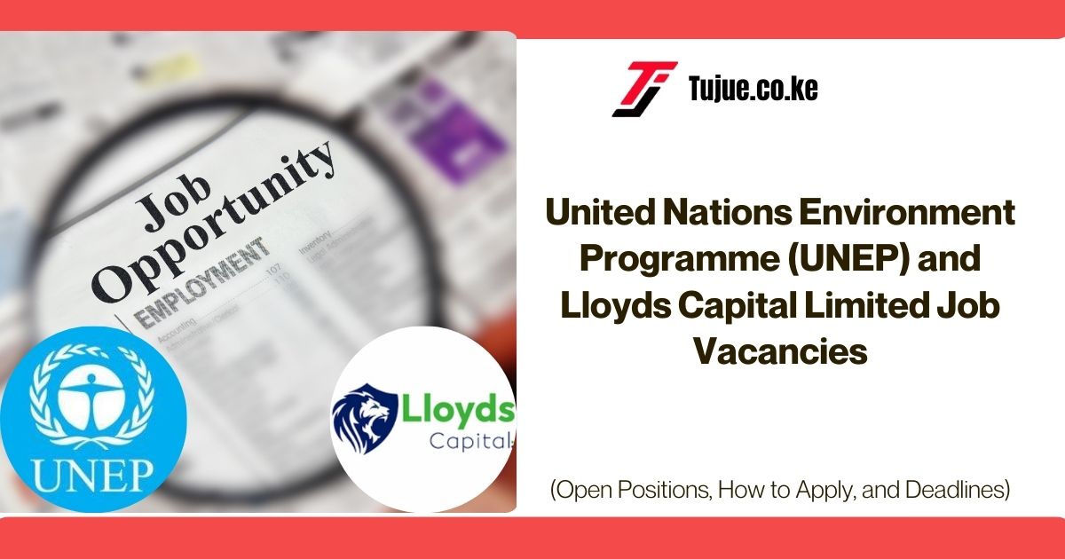 United Nations Environment Programme (UNEP) and Lloyds Capital Limited Job Vacancies