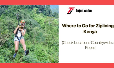 Where to Go for Ziplining in Kenya