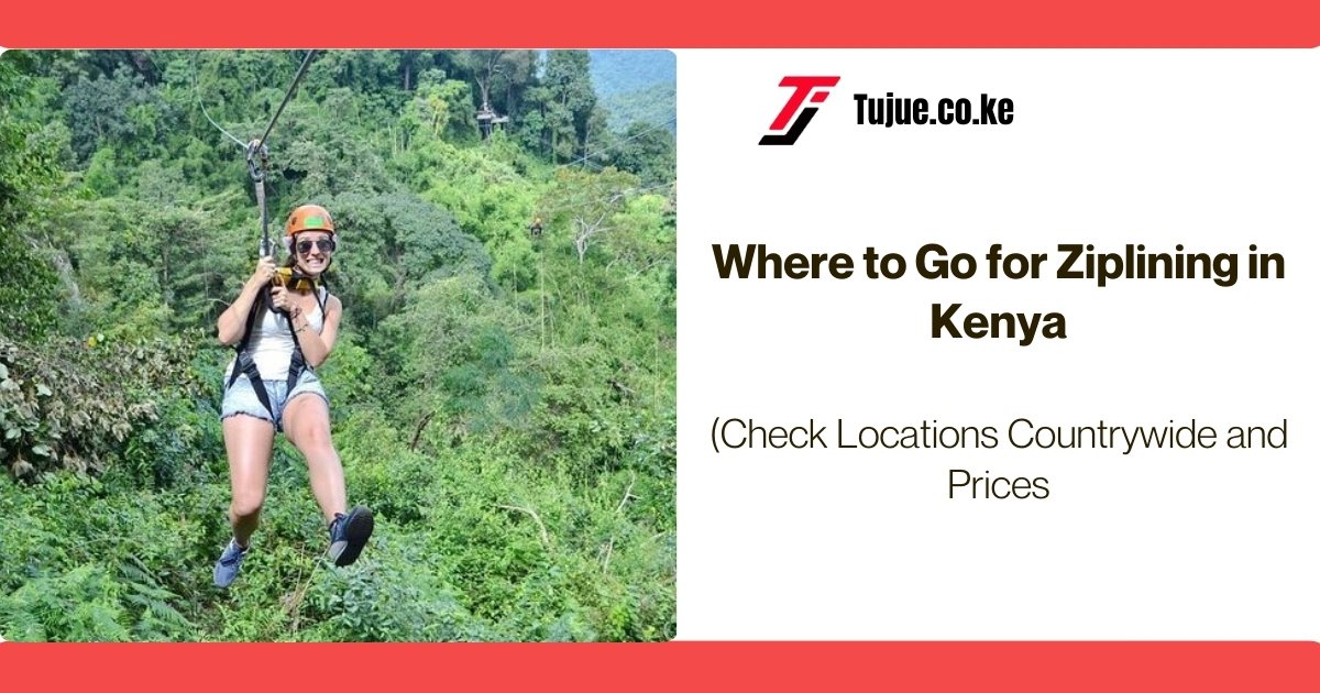 Where to Go for Ziplining in Kenya