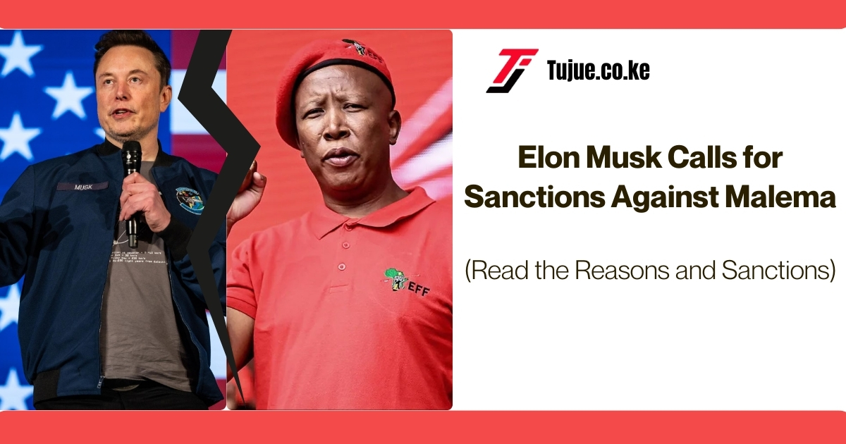 Elon Musk Calls for Sanctions Against Malema