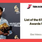 List of the 67th Grammy Awards Winners